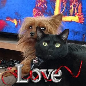 Meet your Posher, Lori